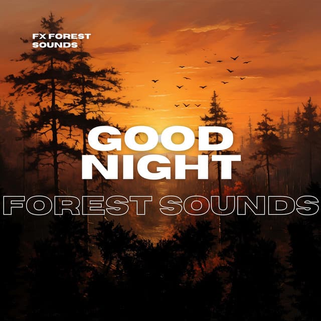 Good Night Forest Sounds - FX Forest Sounds