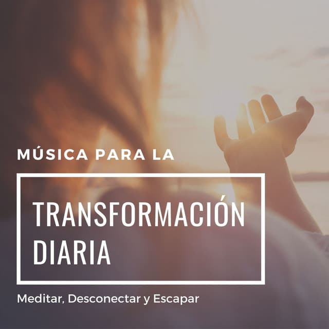 Música para la Transformación Diaria: Meditar, Desconectar y Escapar - Buena Mañana