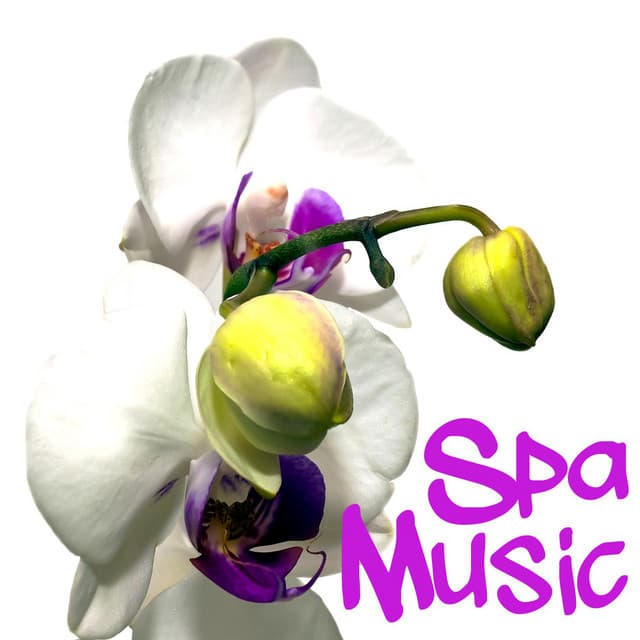 Massage Music and Spa