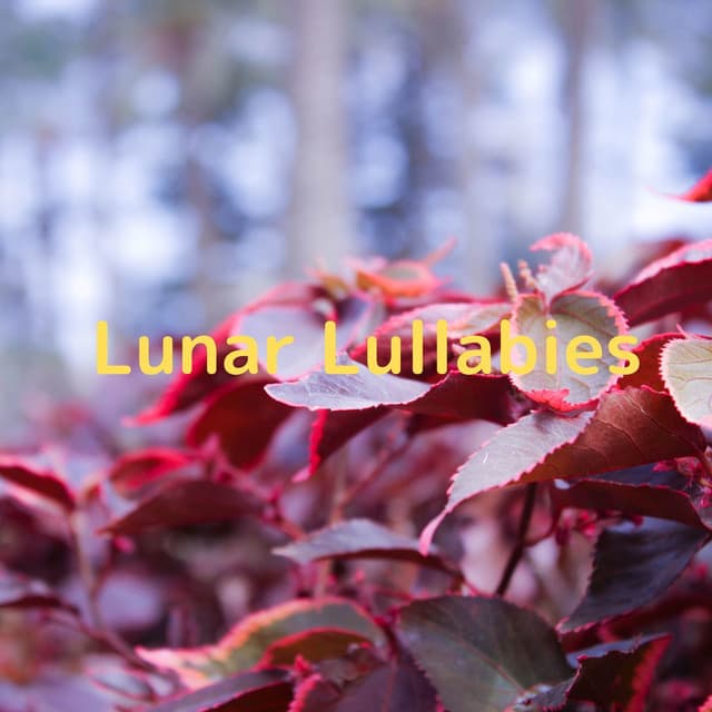 Lunar Lullabies - Soulful Symphony