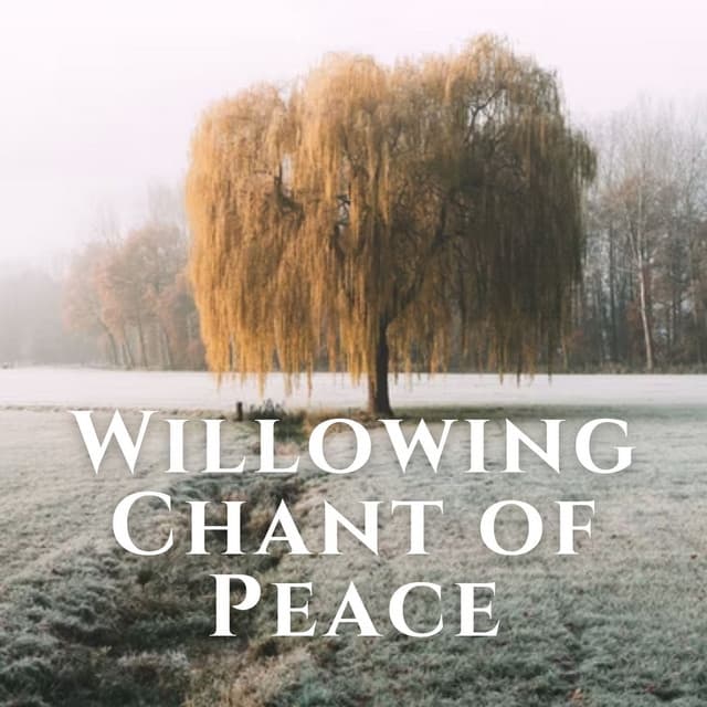Willowing Chant of Peace - Smooth Chill Playlist