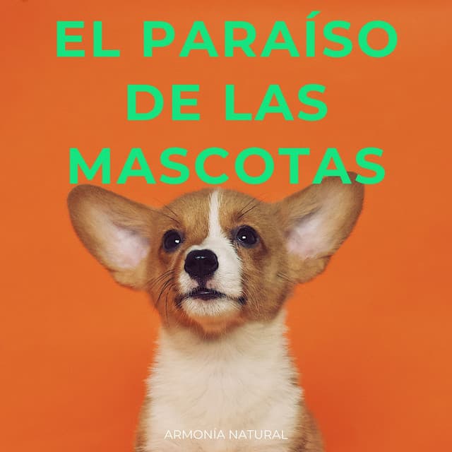 El Paraíso De Las Mascotas: Armonía Natural - Laboratorio de la Naturaleza