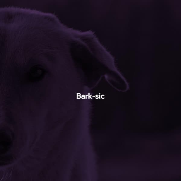 Bark-sic - Elevator Background Music Classics
