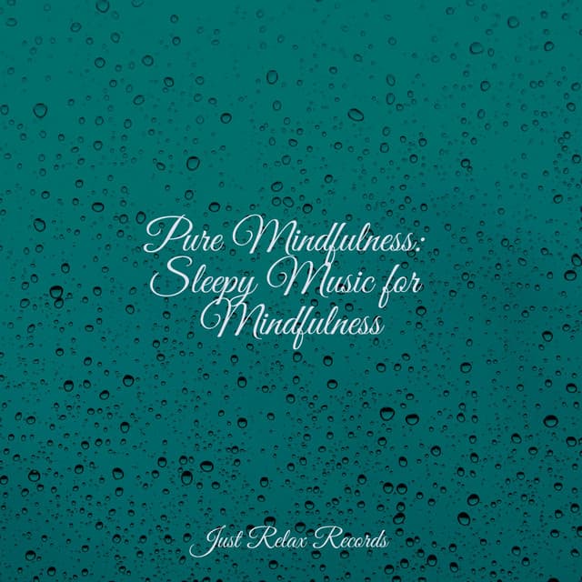 Pure Mindfulness: Sleepy Music for Mindfulness - Dormir
