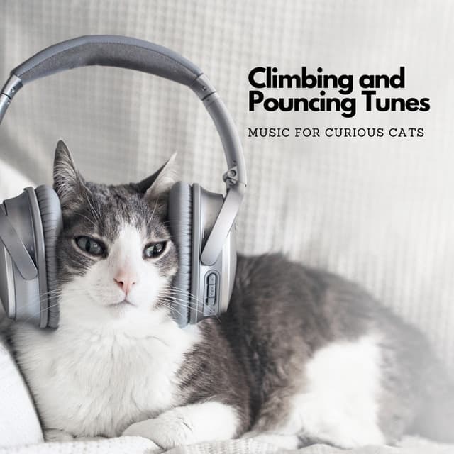 Climbing and Pouncing Tunes: Music For Curious Cats - Cats Music Zone