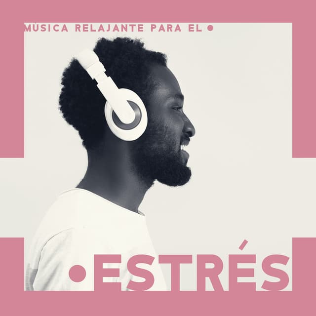 Música Relajante para el Estrés: Momento de Calma para Despejar la Mente y Meditar en Paz - Reiki Consorte de Curación