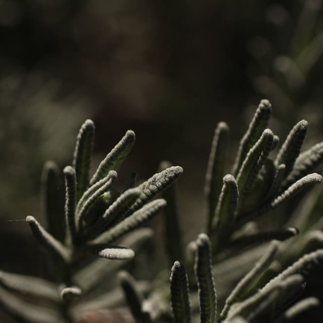 Spa Chillout Music Compilation - Chakra Balancing Sound Therapy