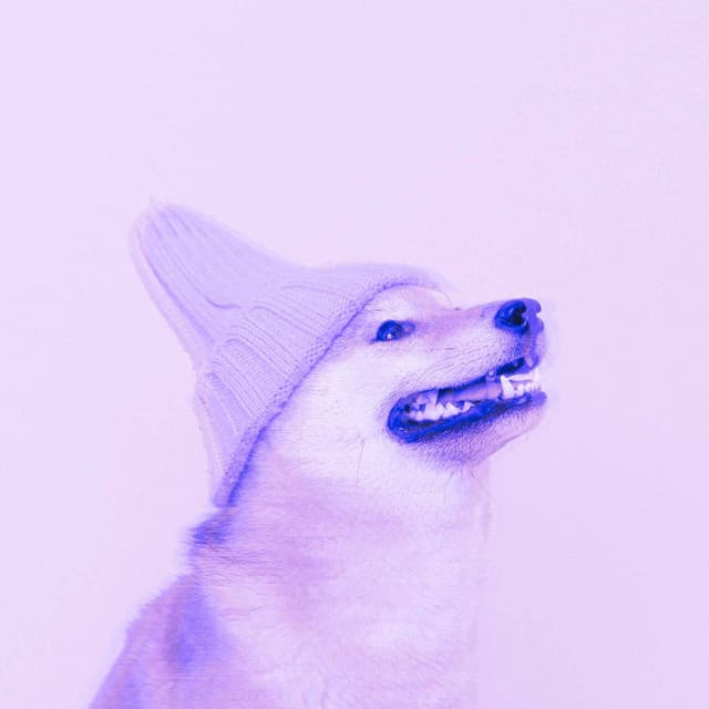 Feelings for Puppy Fun - Calm Dog Music