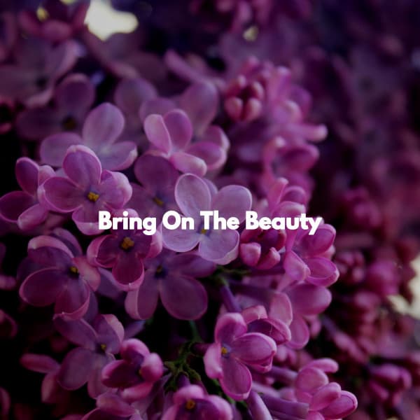 Bring On The Beauty - Chill Cafe Songs