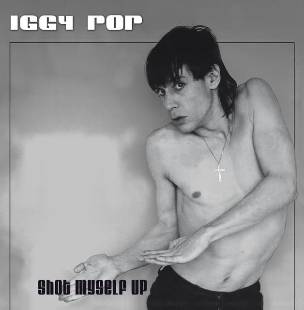 Shot Myself Up - Iggy Pop