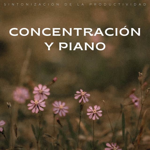 Concentración Y Piano: Sintonización De La Productividad - Playlist de Estudio Concentrado
