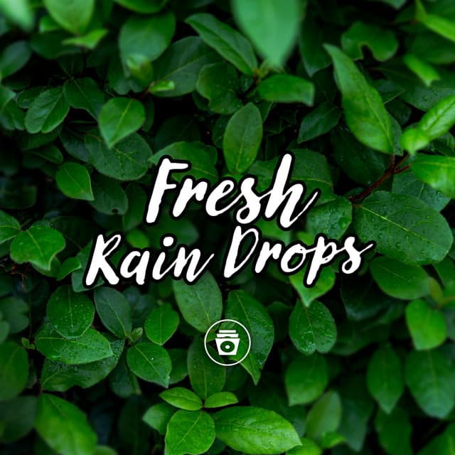 Fresh Rain Drops - Rain Sounds Nature Collection