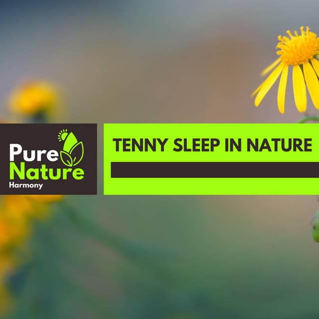 Tenny Sleep in Nature - Nature Field Recordings