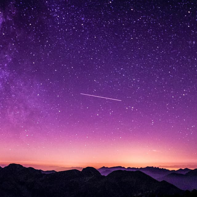 365 Skyline: The Daily Hustle - Lofi Chill