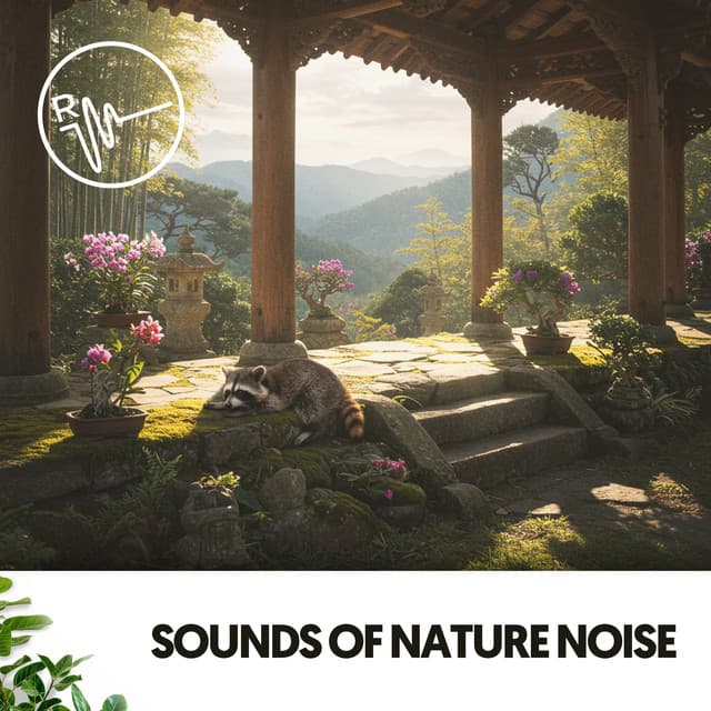 Sounds of Nature Noise: A Symphony of Rain Serenity - Dog Relaxation