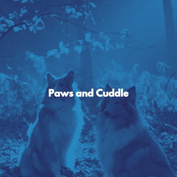 Paws and Cuddle - Gentle Morning Music