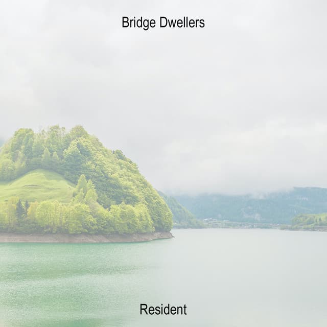 Bridge Dwellers