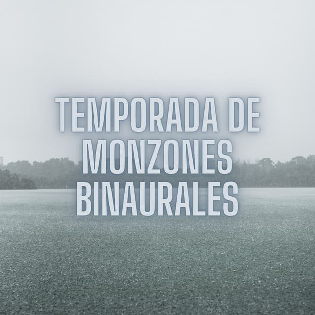 Temporada De Monzones Binaurales - Ricky sonido de lluvia