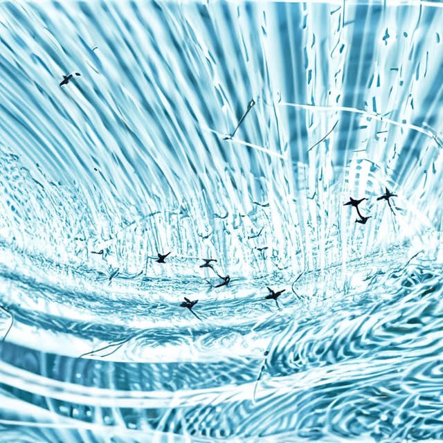 Mystic Depths: Plummeting into Deep Meditation - Meditation