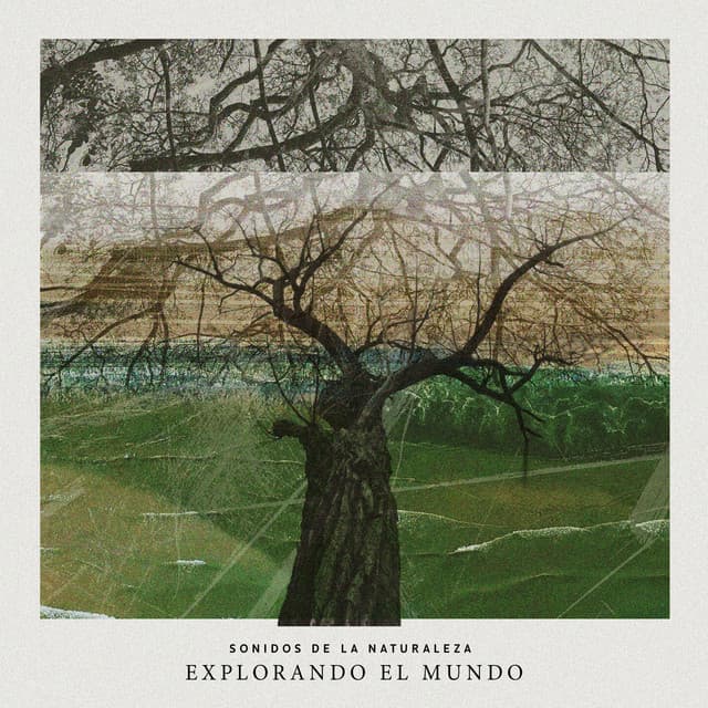 Explorando el mundo - Sonidos de la Naturaleza