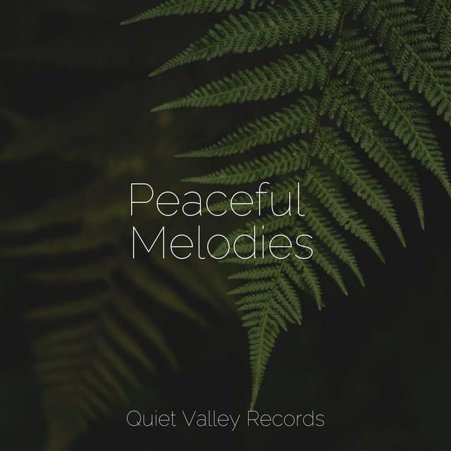 Peaceful Melodies - Sounds of Nature Relaxation