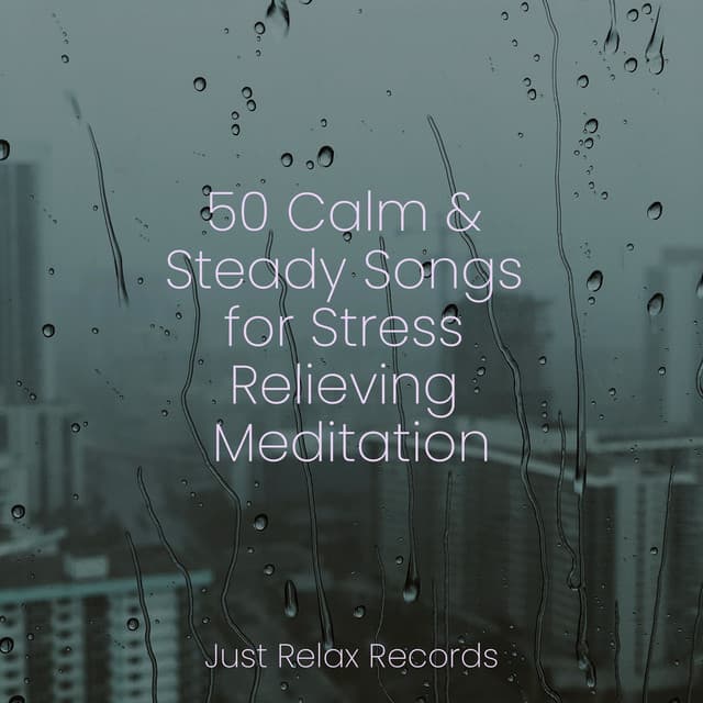 50 Calm & Steady Songs for Stress Relieving Meditation - Meditation Spa