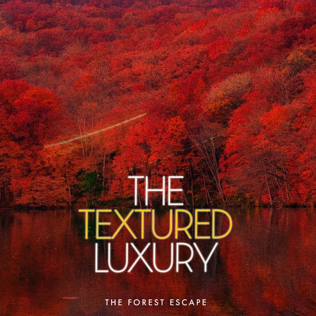 The Textured Luxury - The Forest Escape
