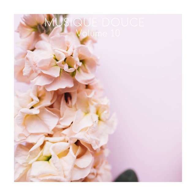 Musique douce, Vol. 10 - Musique Zen Garden