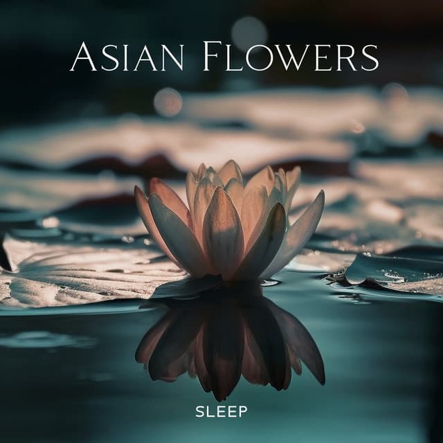 Asian Flowers Sleep - Buddha Music Sanctuary