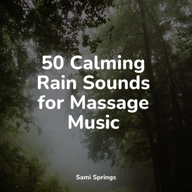 50 Calming Rain Sounds for Massage Music - Regen zum Schlafen