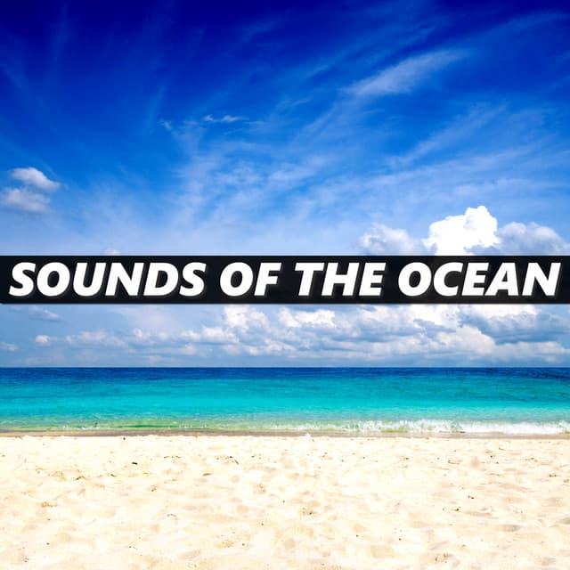 Sounds of the Ocean - Sounds Of The Ocean