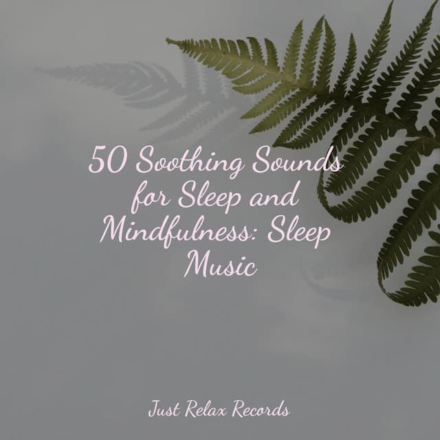 50 Soothing Sounds for Sleep and Mindfulness: Sleep Music - Musica Romantica