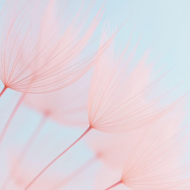 Instant Destress - Craig Peruss