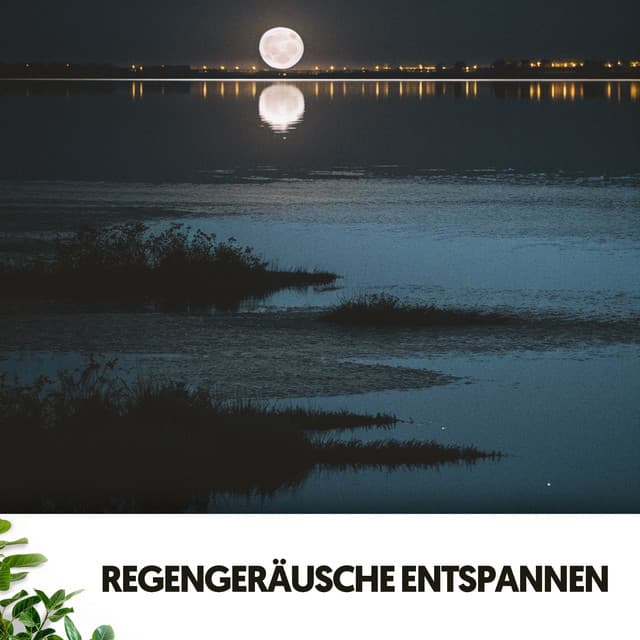 Regengeräusche entspannen: Serenade der Duschen - Dog Relaxation