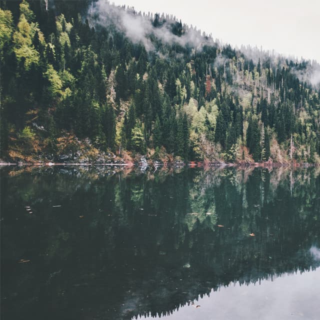 Yoga Guru - Yoga Flow