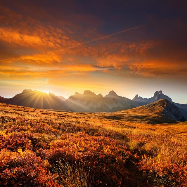 Orquesta De Armonías: Flujo Musical Relajante - Elliot Braun