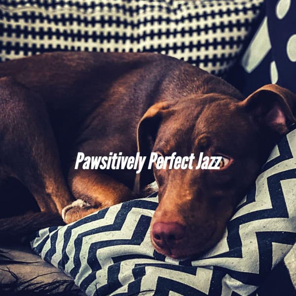 Pawsitively Perfect Jazz - Relaxing Dog Music Classics