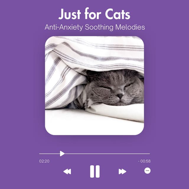 Just for Cats - Anti-Anxiety Soothing Melodies - Relax My Cat