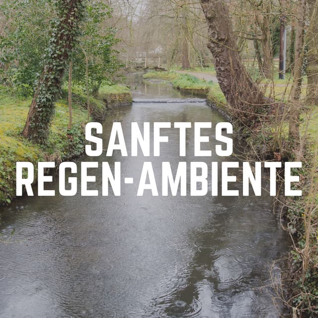 Sanftes Regen-Ambiente - Regen zum Schlafen