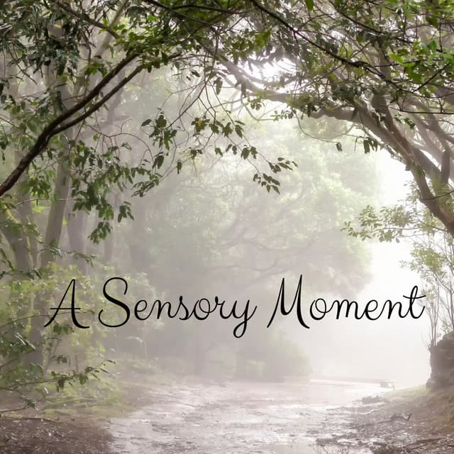 A Sensory Moment - Deep Rain Sampling