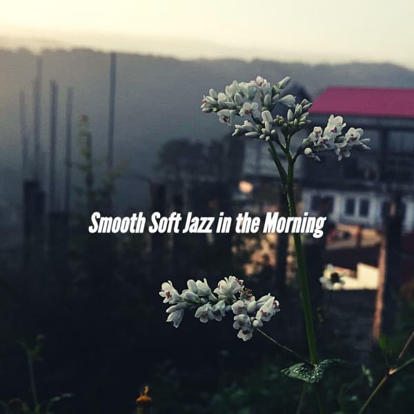 Smooth Soft Jazz in the Morning - Morning Jazz