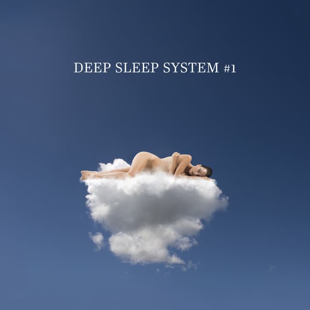 Deep Sleep System #1 - Deep Sleep System
