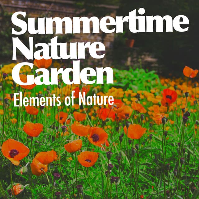 Summertime Nature Garden - Elements of Nature