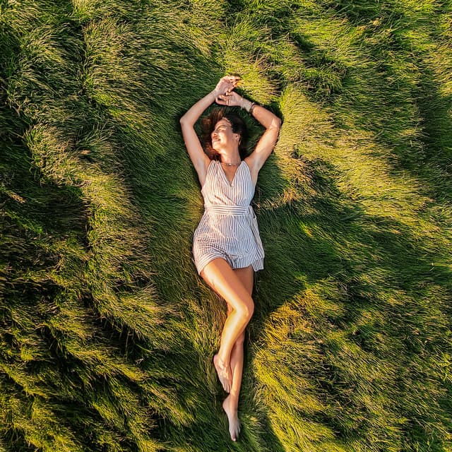 Música De Relajación: Suave Flujo Melódico - Hermosos sonidos de la naturaleza