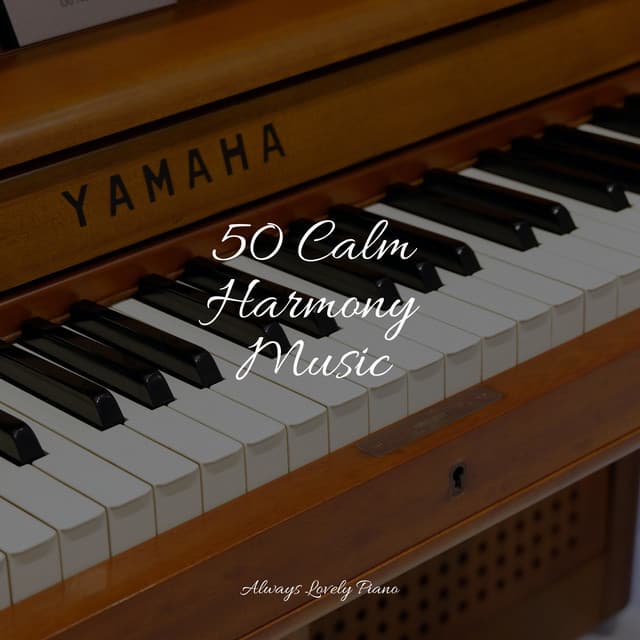 50 Calm Harmony Music - Piano Bar Music Specialists