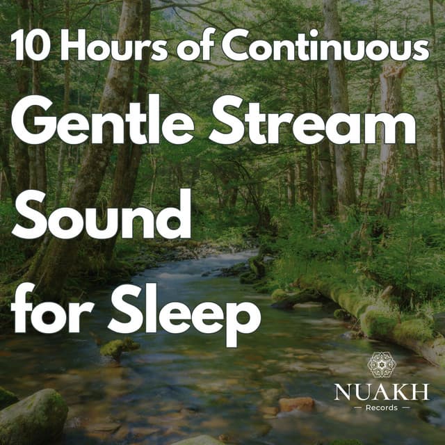 10 Hours of Continuous Gentle Stream for Sleeping - Deep Sleep Remedy