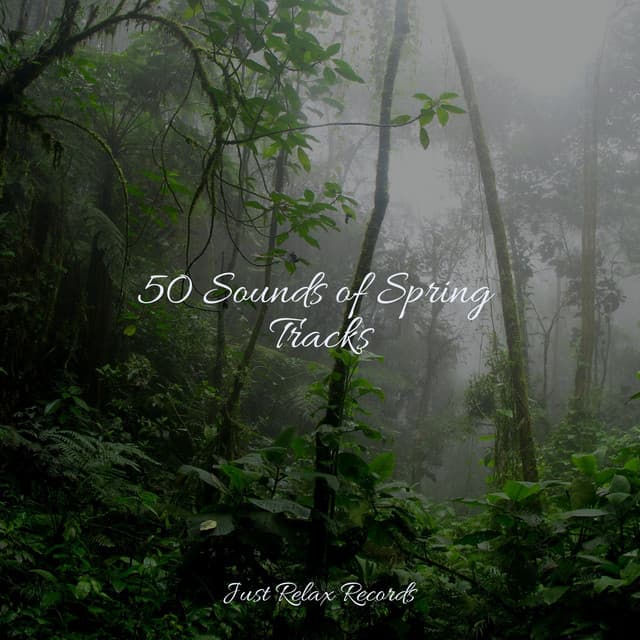 50 Sounds of Spring Tracks - Calming Sounds