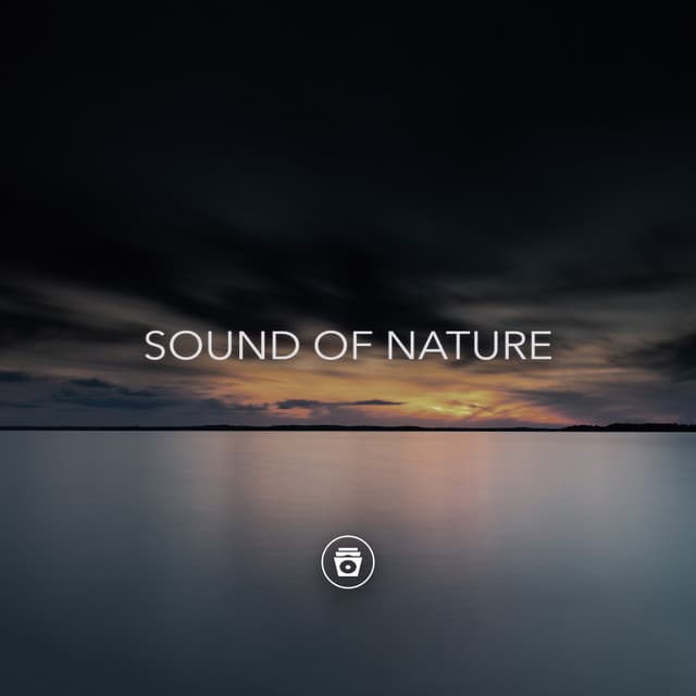 Sound Of Nature - Rain Recorders