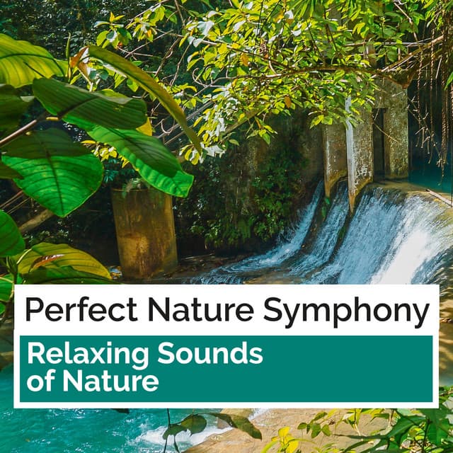 Perfect Nature Symphony - Relaxing Sounds Of Nature