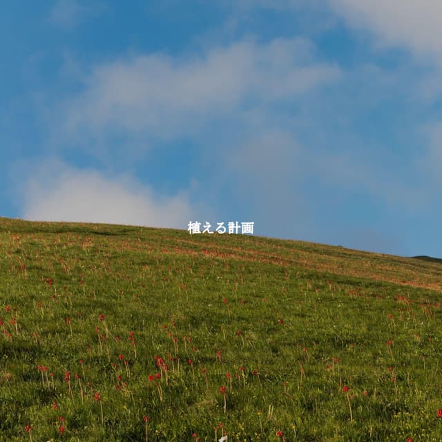 植える計画 - Background Jazz Music